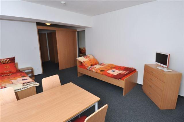 Sport Hotel Ticha Orlice Усти-над-Орлици Номер фото