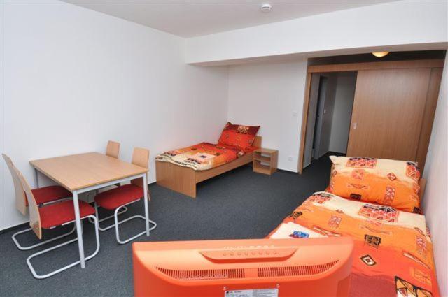 Sport Hotel Ticha Orlice Усти-над-Орлици Номер фото